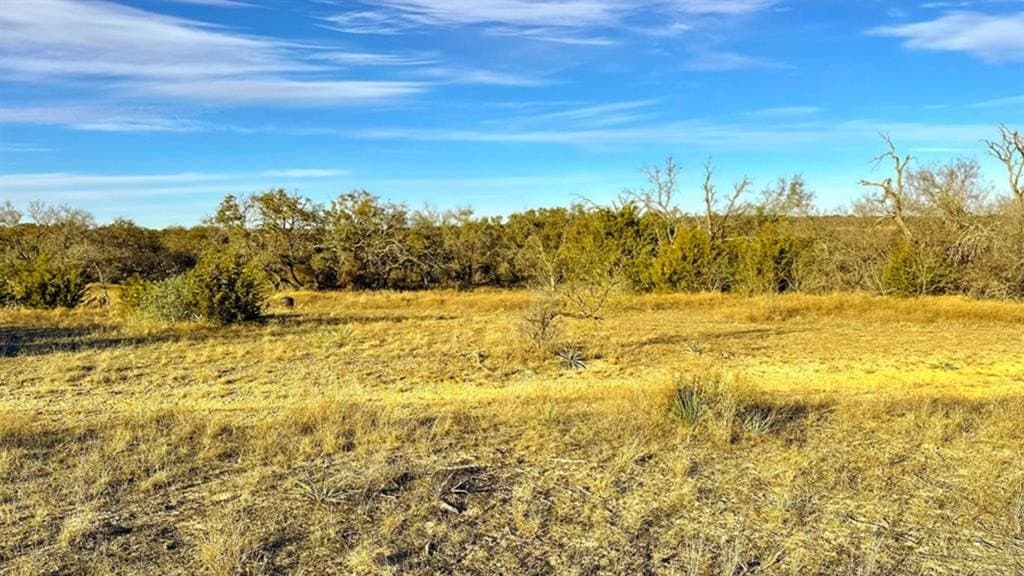 14.03 acres in Comanche County - photo 2