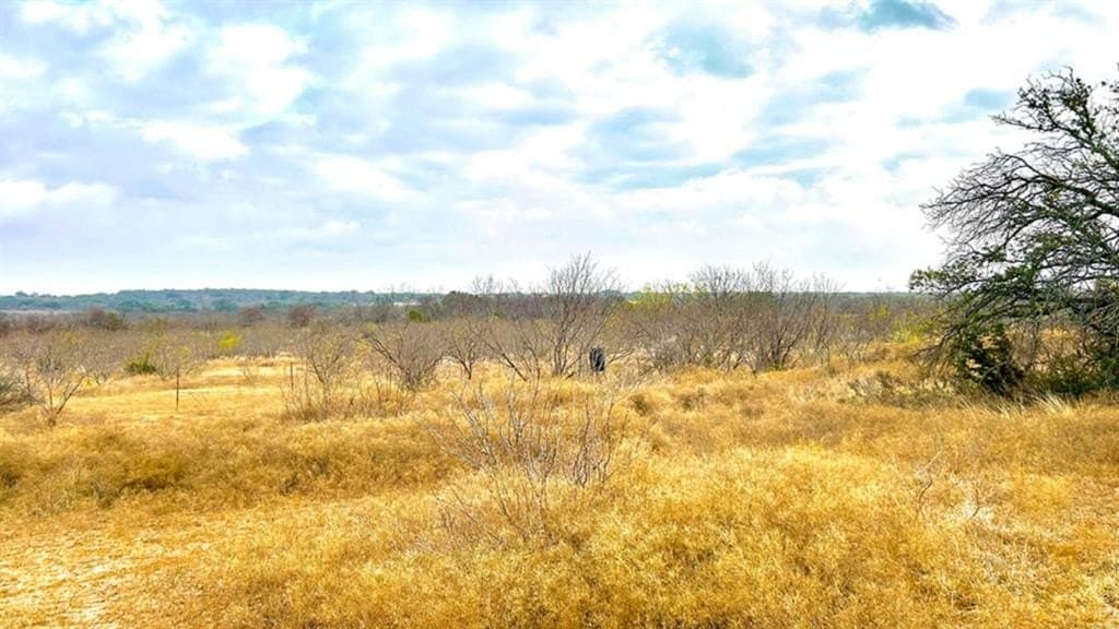 14.03 acres in Comanche County - photo 5