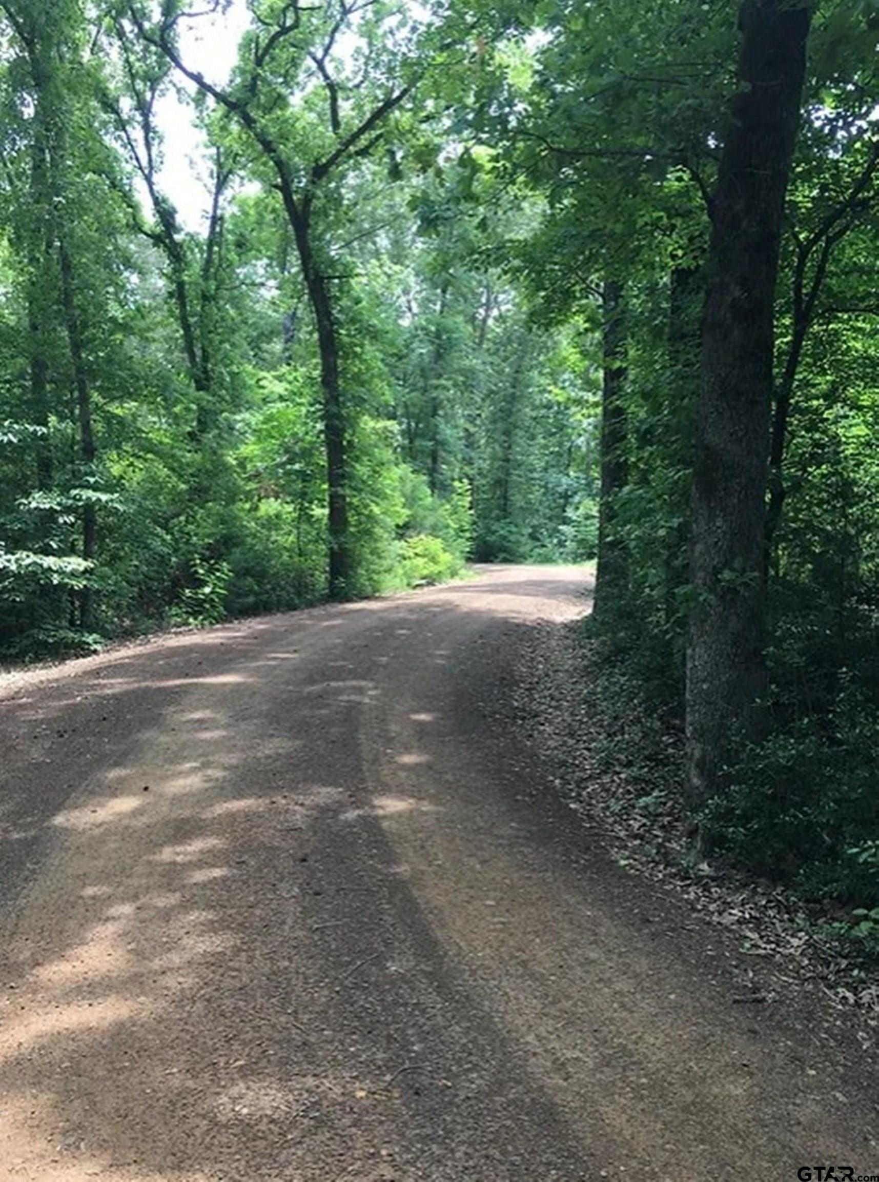 0.75 acres in Anderson County - photo 4