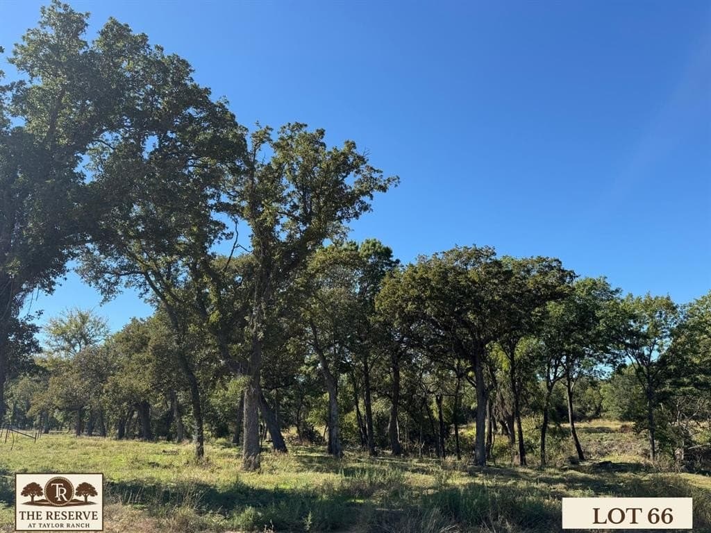 2.4 acres in Parker County - photo 4
