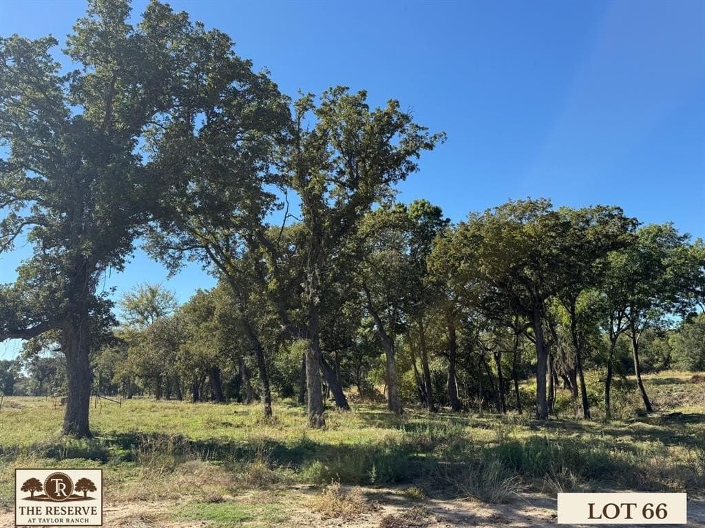 2.4 acres in Parker County - photo 5