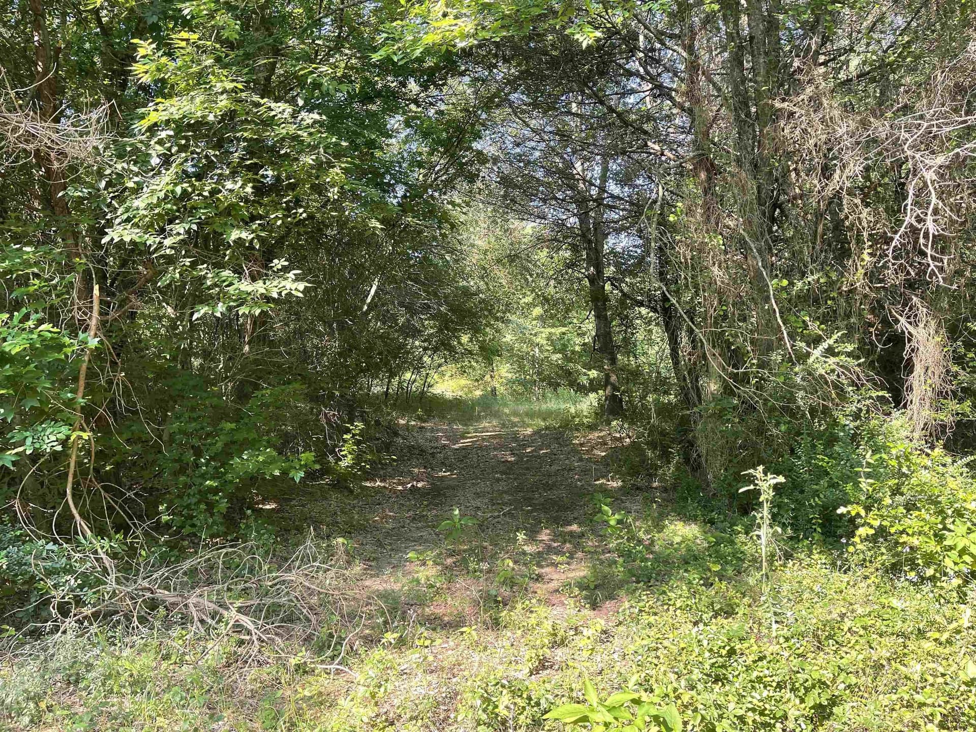19.86 acres in Wood County - photo 5