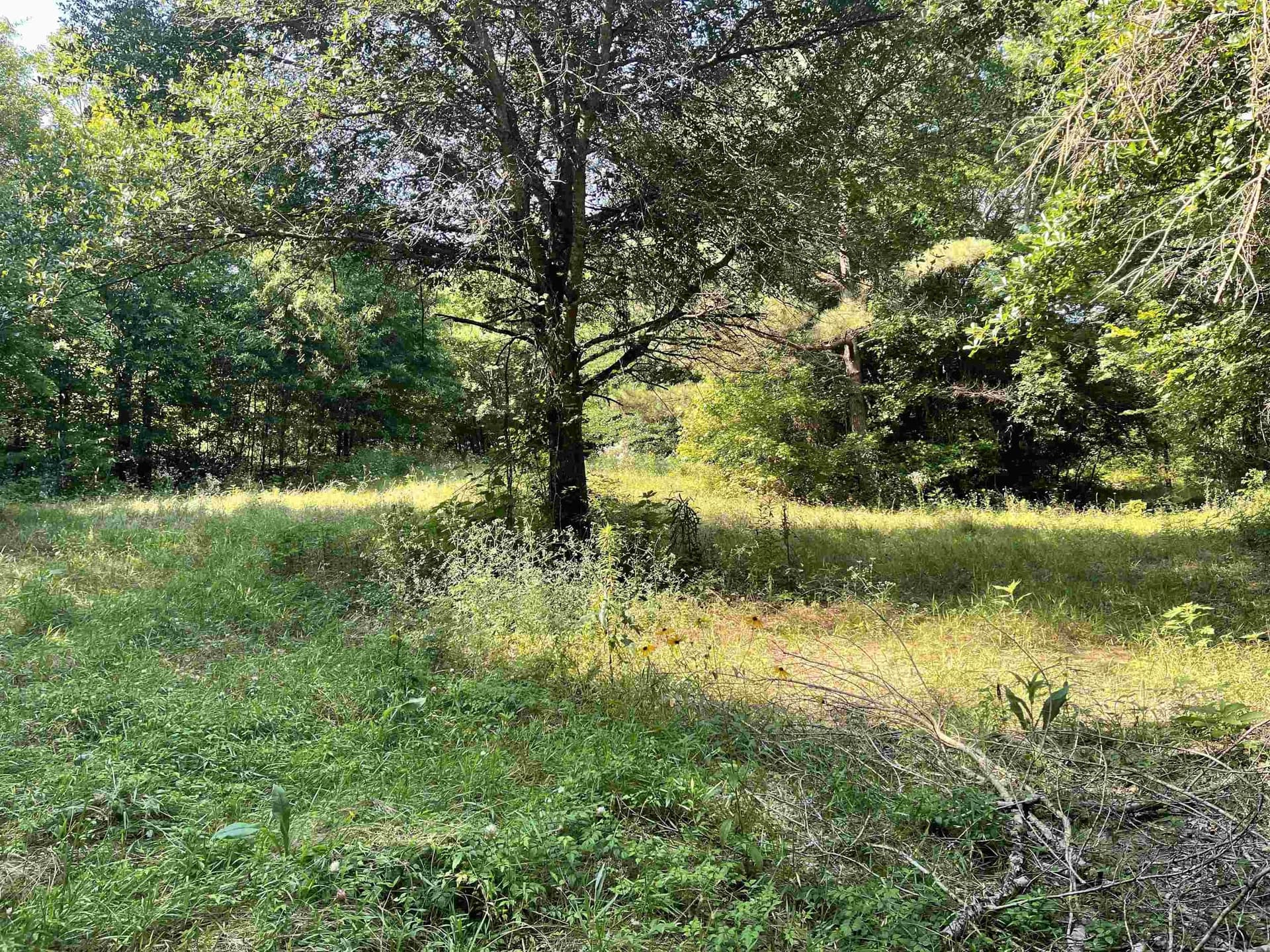 19.86 acres in Wood County - photo 4