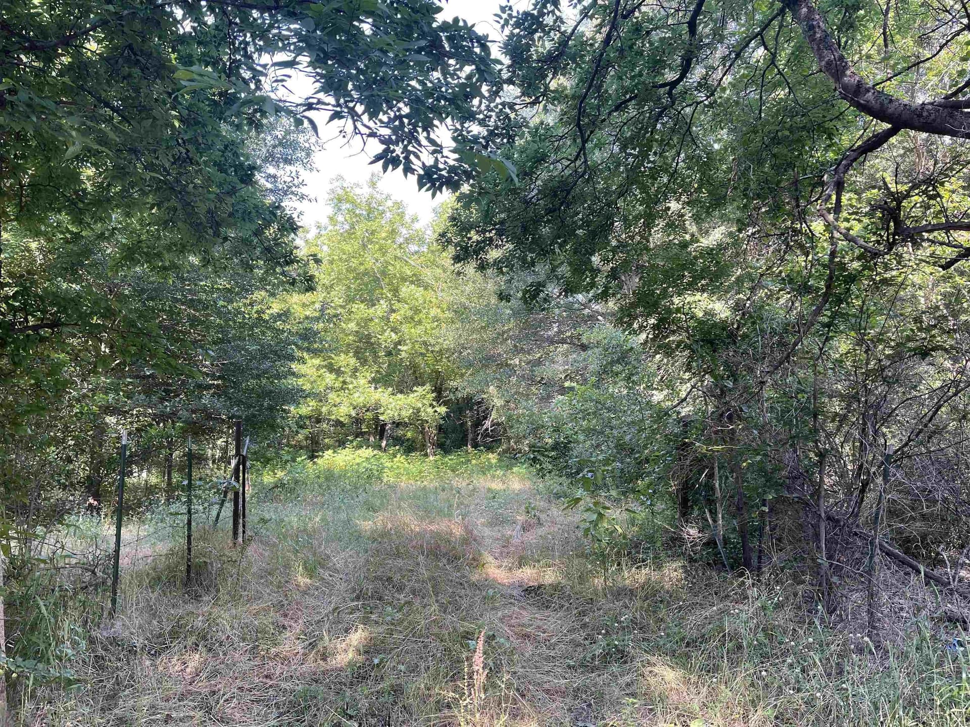 19.86 acres in Wood County - photo 2
