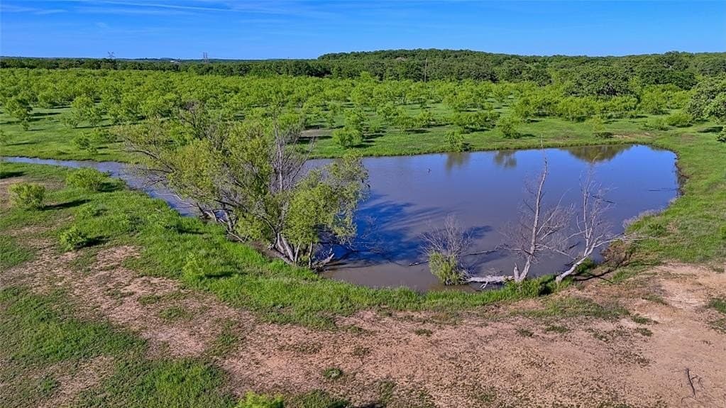 20 acres in Montague County - photo 22