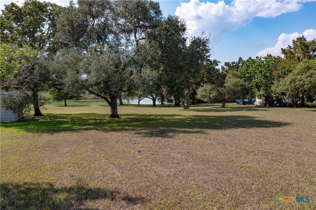 0.17 acres in Goliad County - photo 4