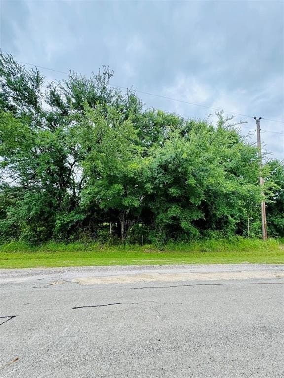 0.52 acres in Hill County - photo 2