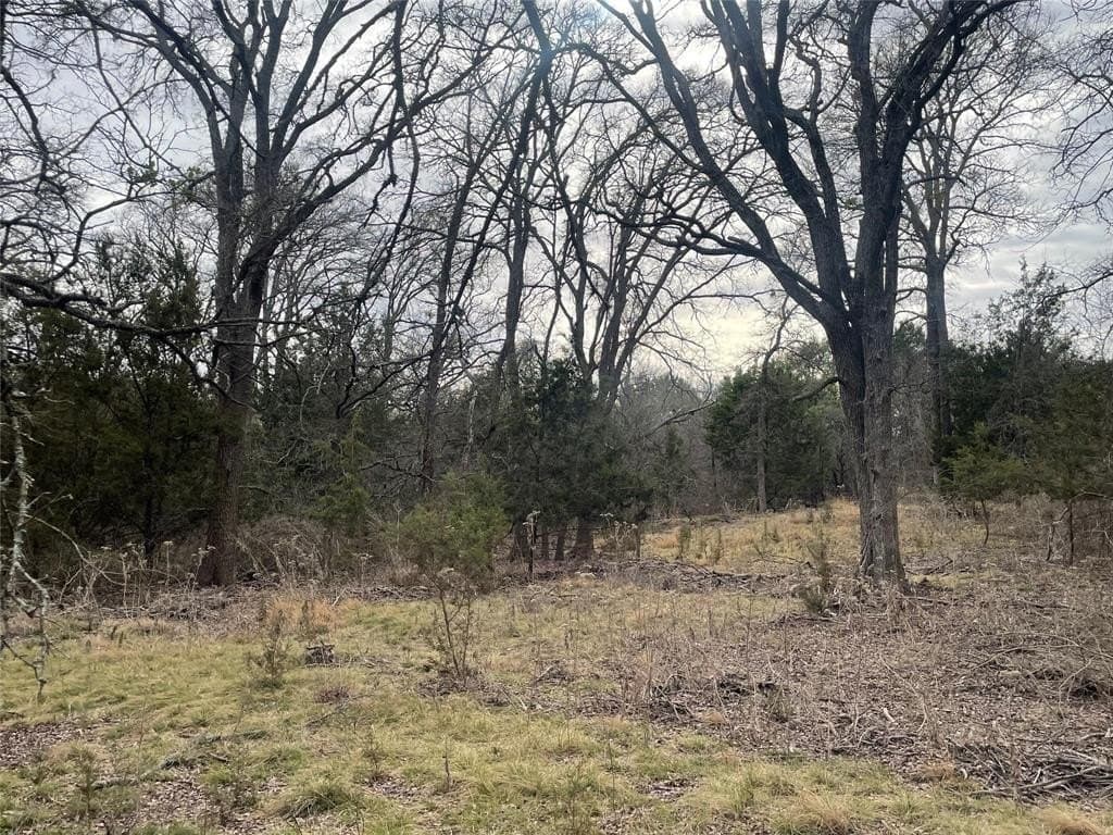 10.06 acres in Lampasas County - photo 3