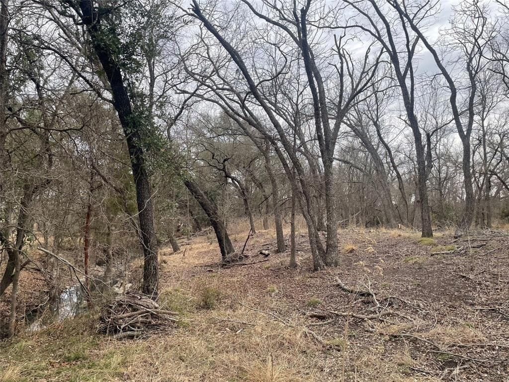 10.06 acres in Lampasas County - photo 2