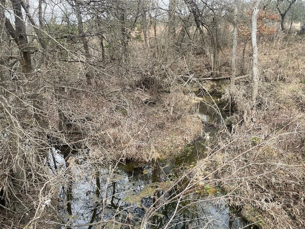 10.06 acres in Lampasas County - photo 8