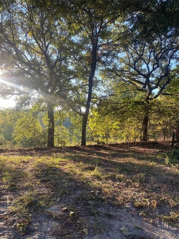 4.9 acres in Smith County - photo 2