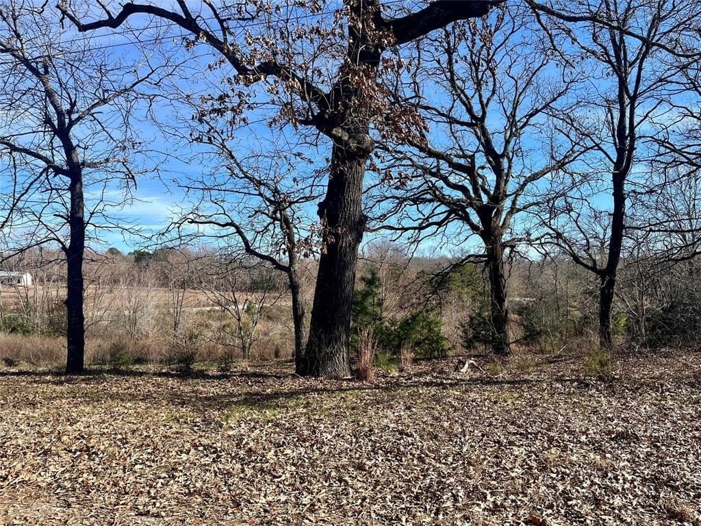 4.9 acres in Smith County - photo 7