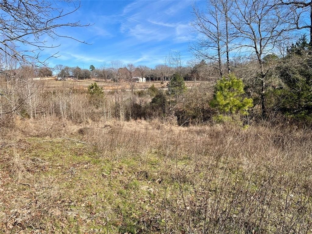 4.9 acres in Smith County - photo 8