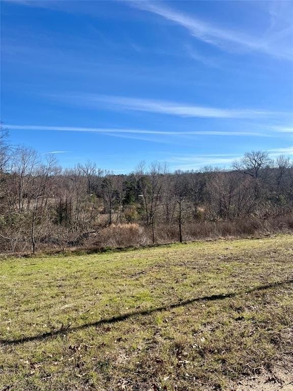 4.9 acres in Smith County - photo 6