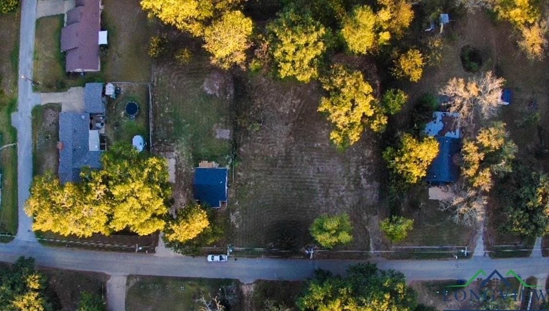 0.39 acres in Upshur County - photo 4