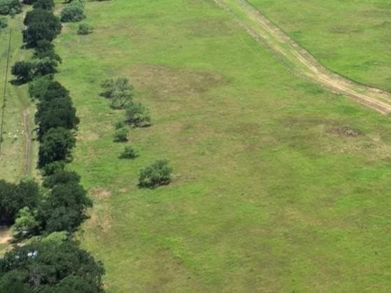 2.96 acres in Palo Pinto County - photo 2