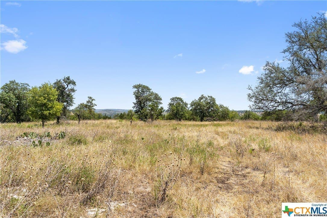 22.21 acres in Blanco County - photo 5