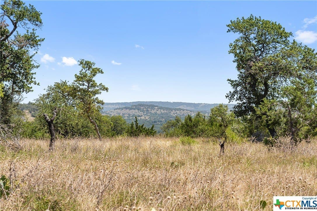 22.21 acres in Blanco County - photo 3