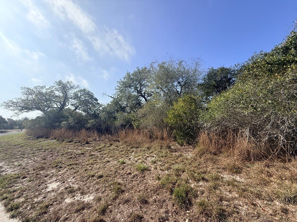 0 acres in Texas County - photo 3
