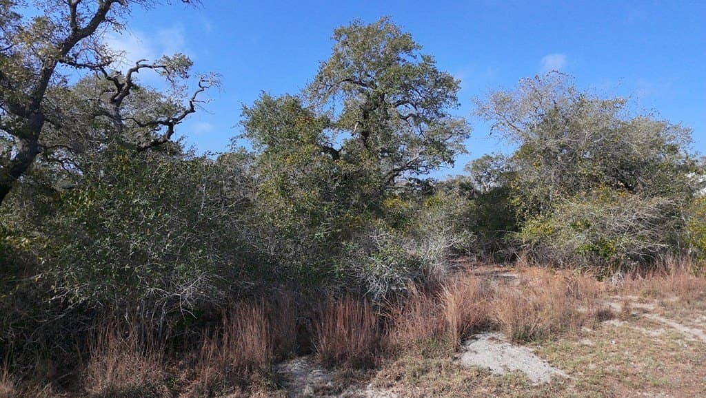 0 acres in Texas County - photo 5