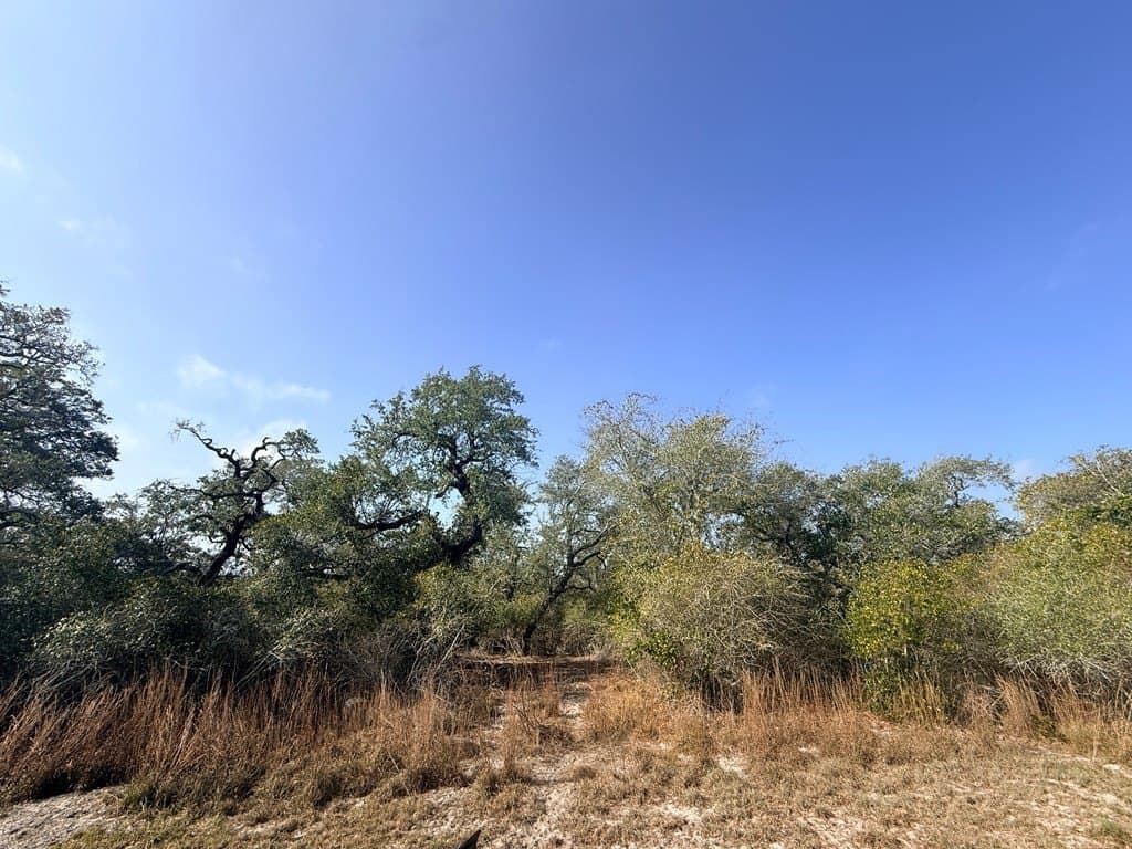 0 acres in Texas County - photo 4