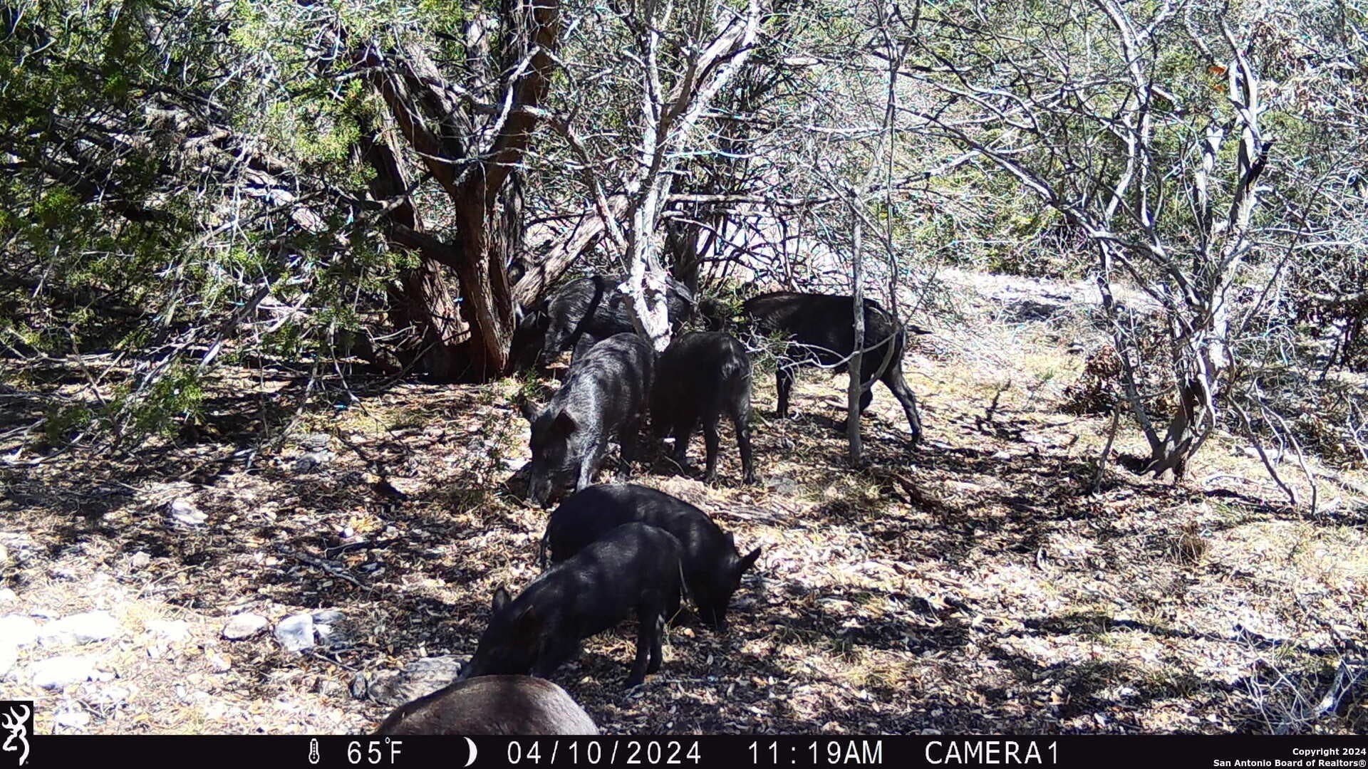 68.27 acres in Edwards County - photo 32