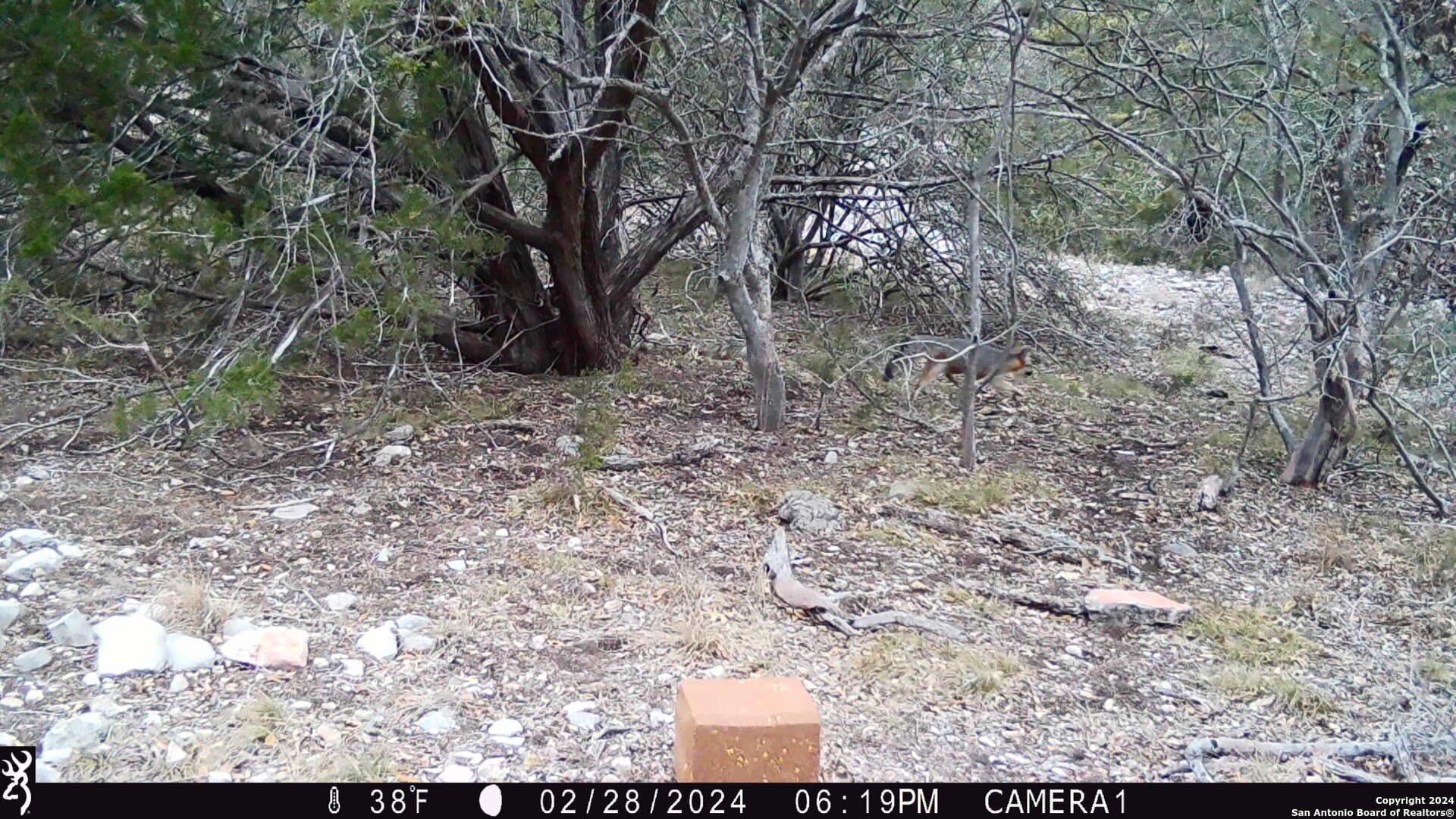 68.27 acres in Edwards County - photo 21