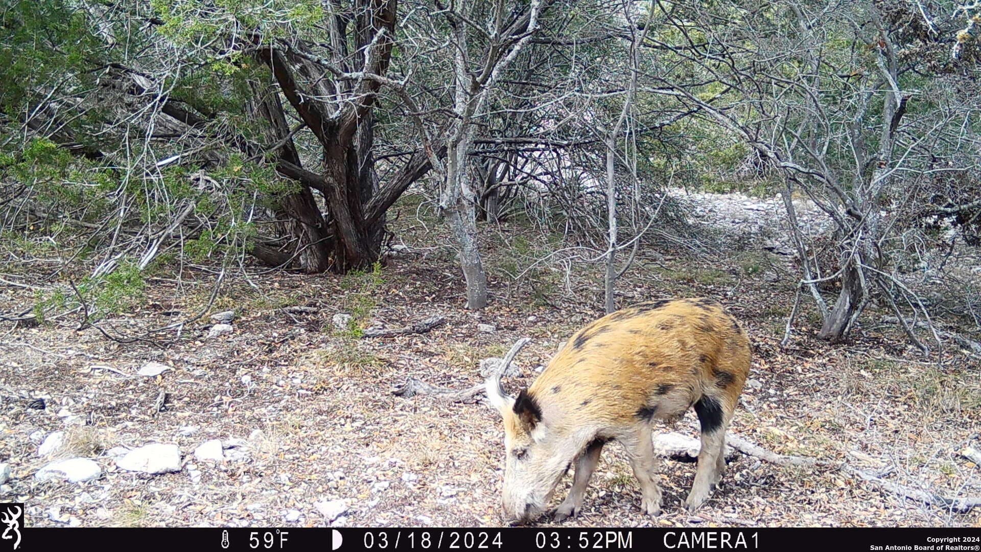 68.27 acres in Edwards County - photo 26