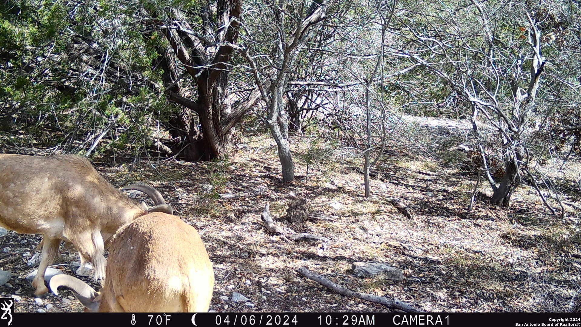 68.27 acres in Edwards County - photo 31