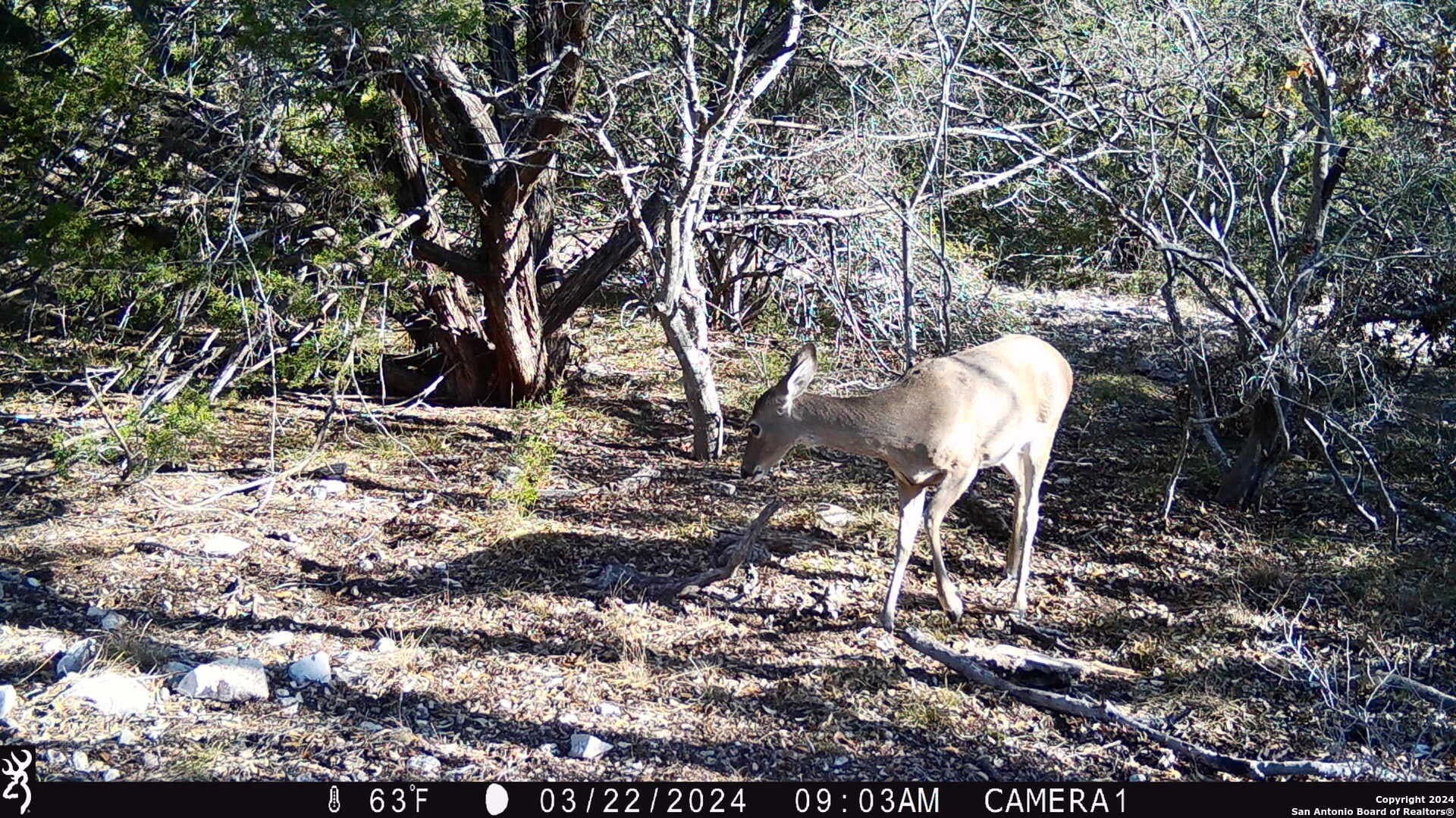 68.27 acres in Edwards County - photo 29