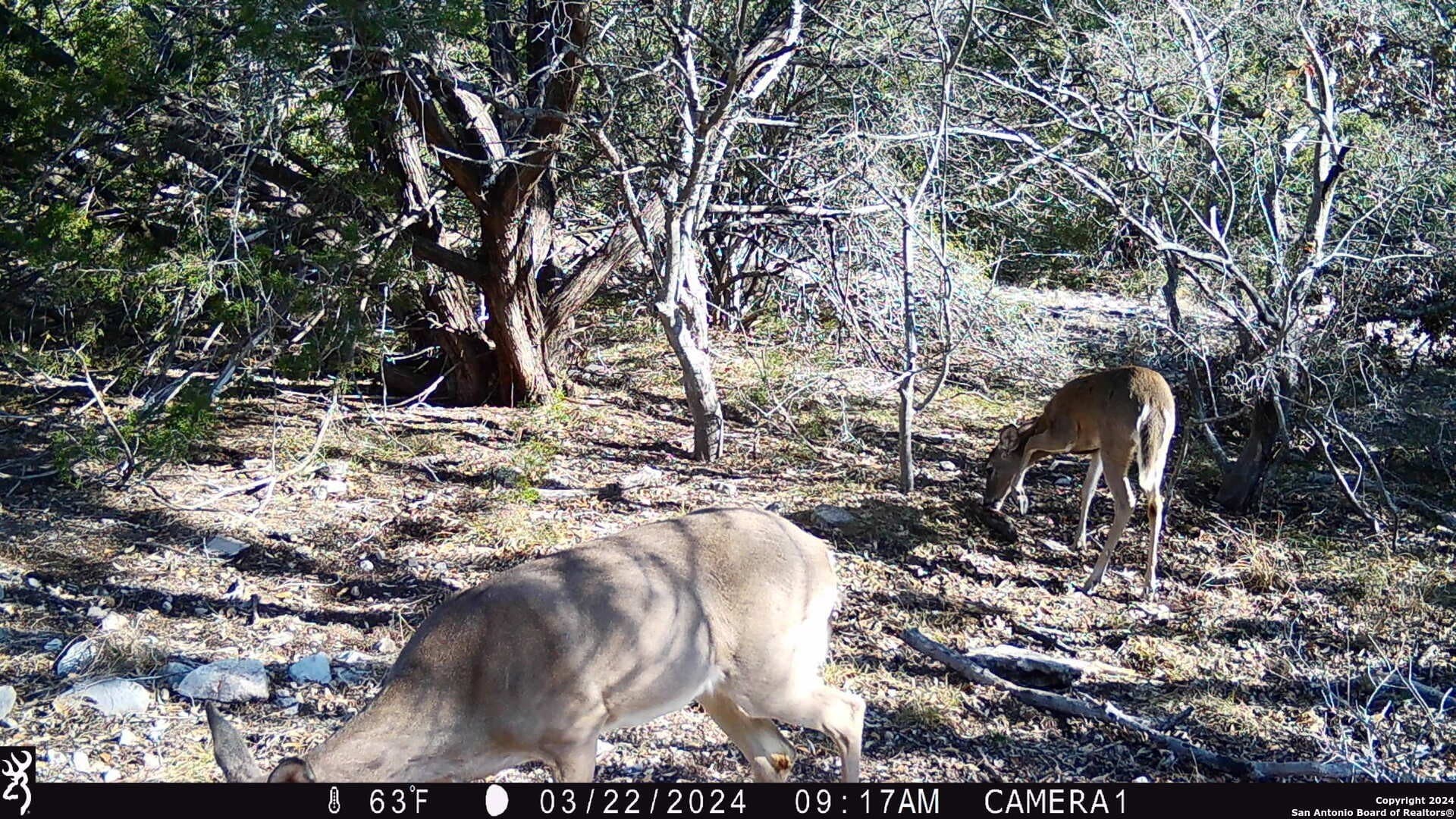 68.27 acres in Edwards County - photo 30