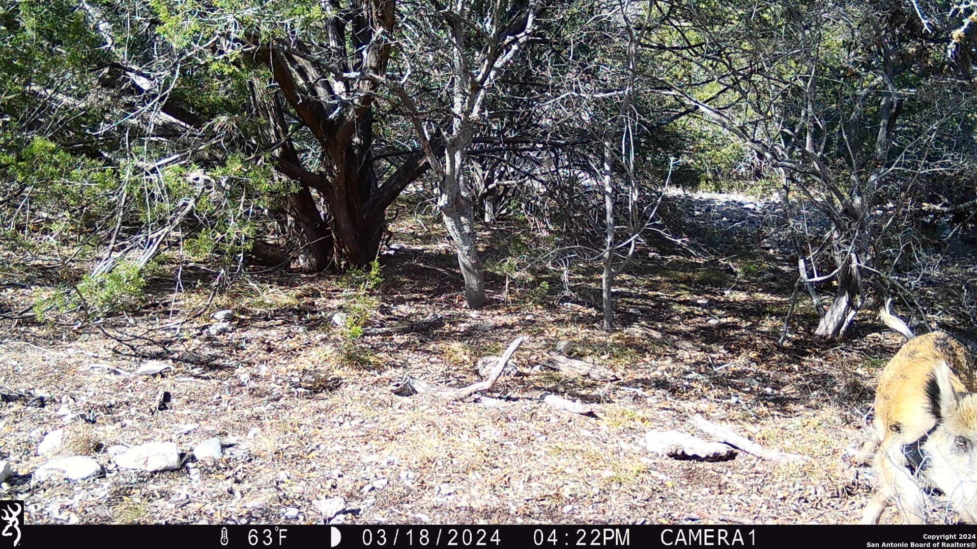 68.27 acres in Edwards County - photo 28