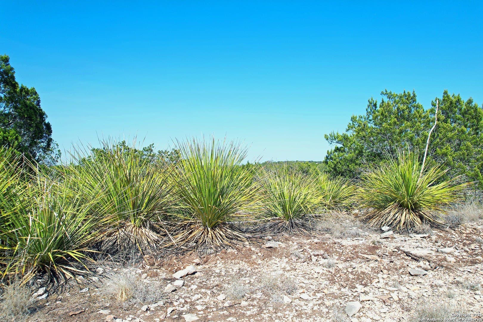 68.27 acres in Edwards County - photo 15