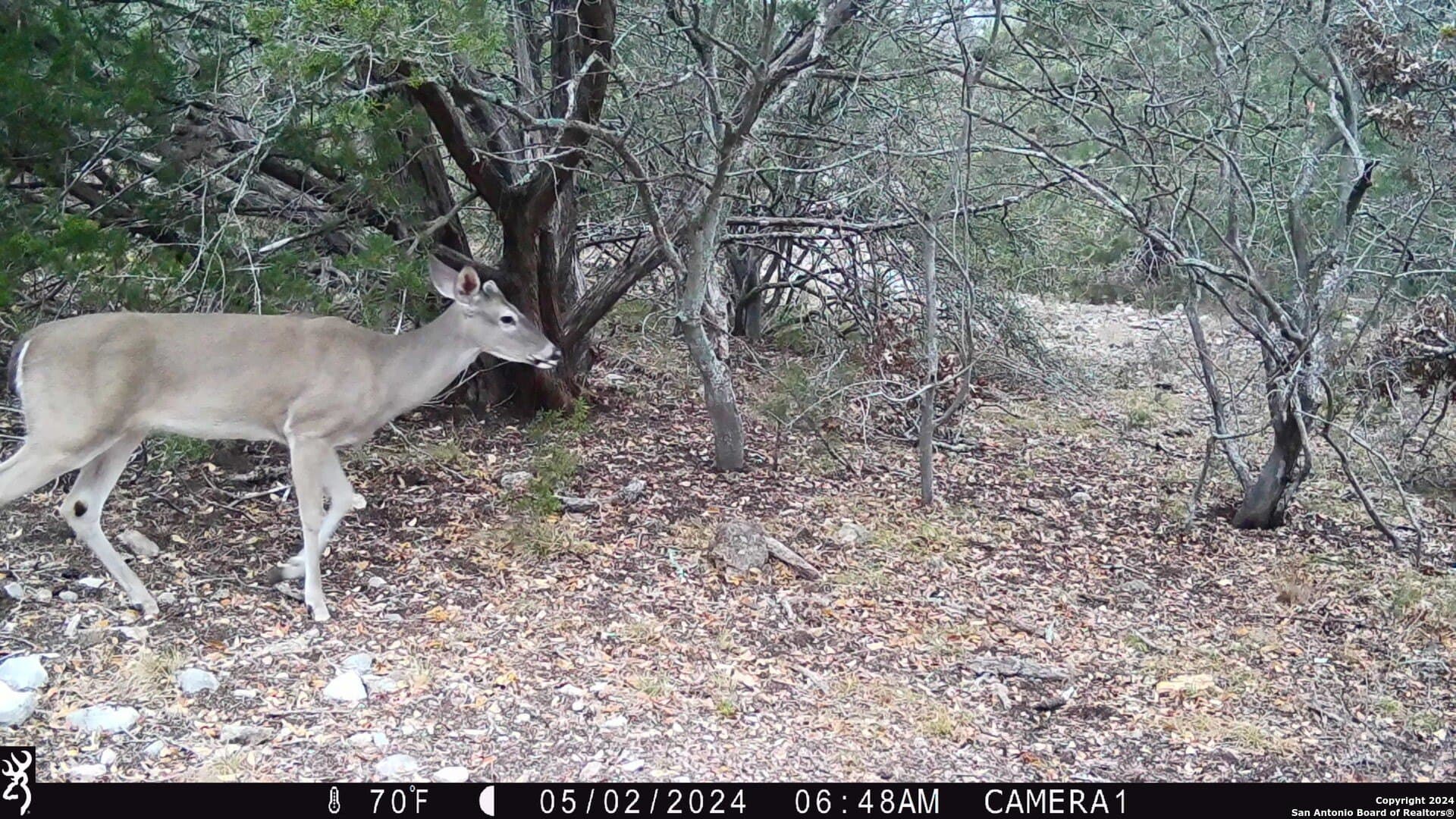 68.27 acres in Edwards County - photo 33