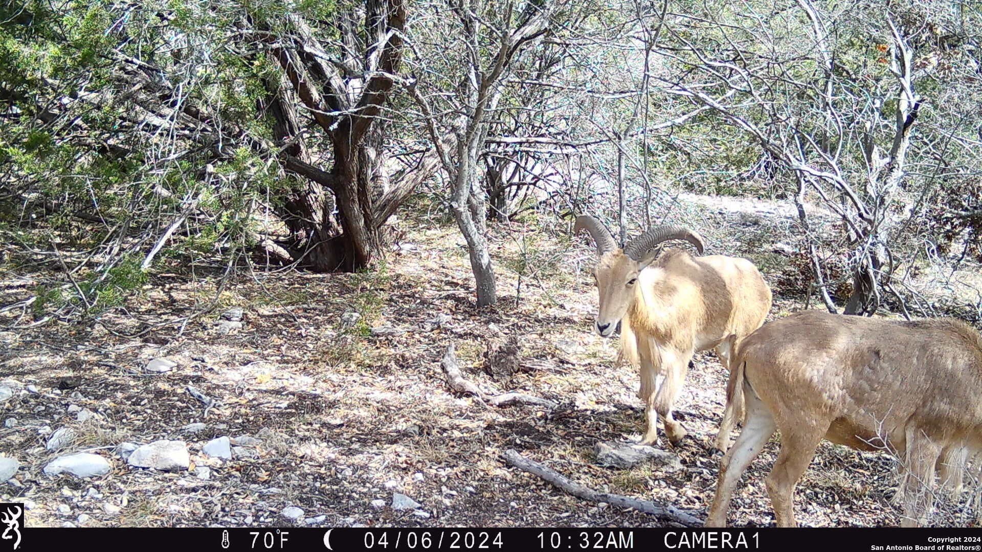 68.27 acres in Edwards County - photo 2