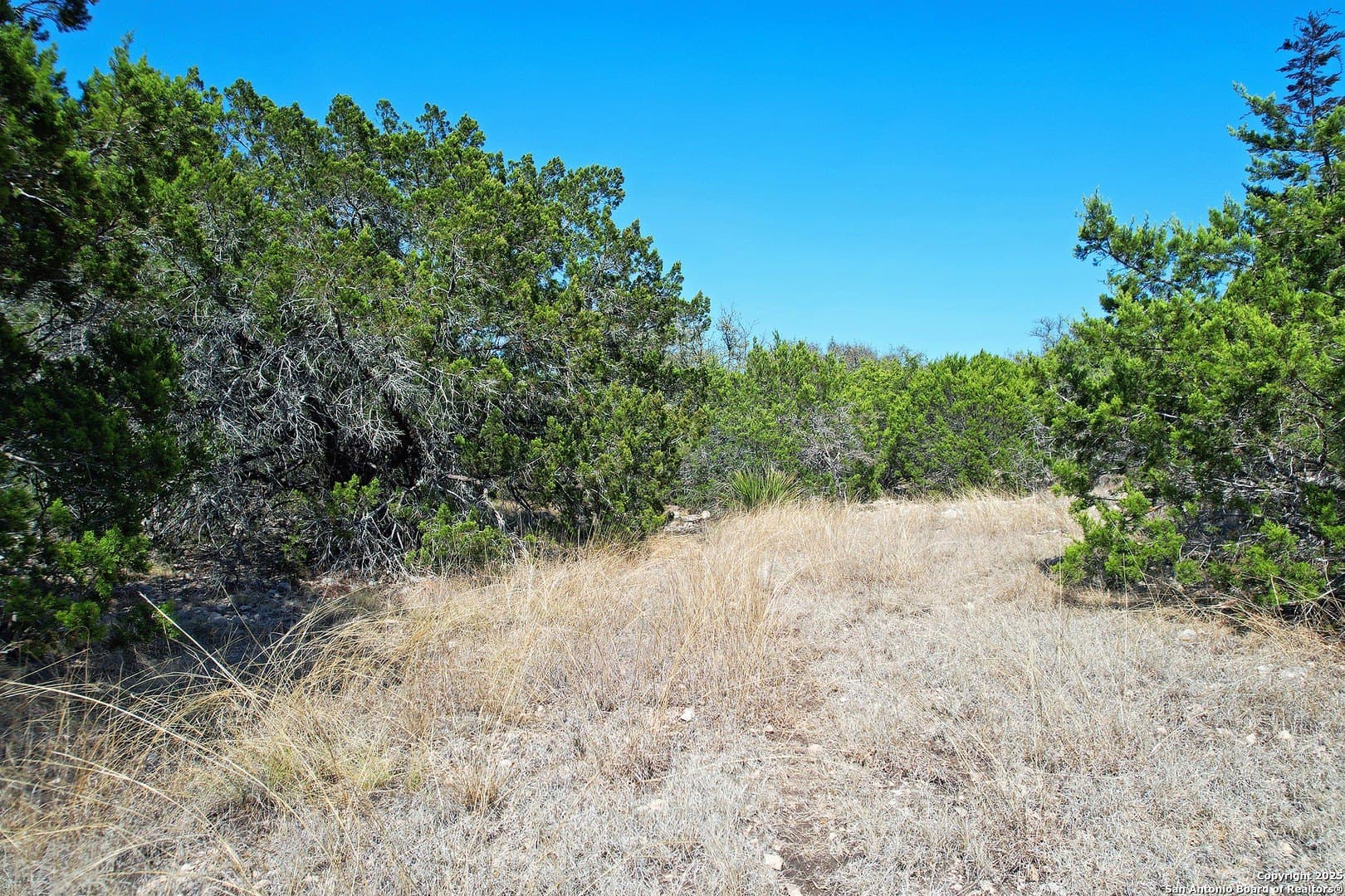 68.27 acres in Edwards County - photo 10