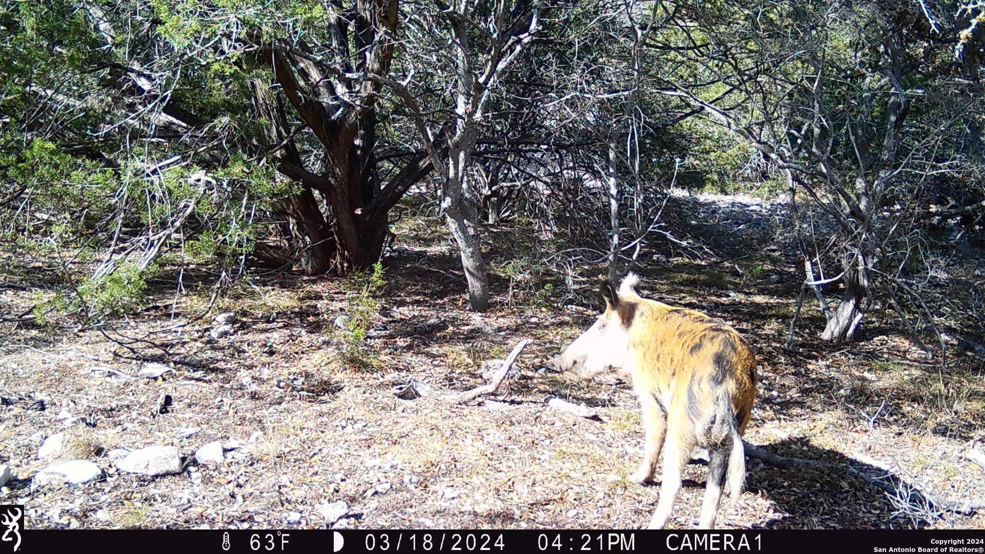 68.27 acres in Edwards County - photo 27