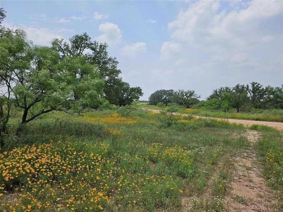 45.09 acres in Mason County - photo 3