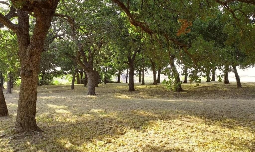 2.82 acres in Denton County - photo 6