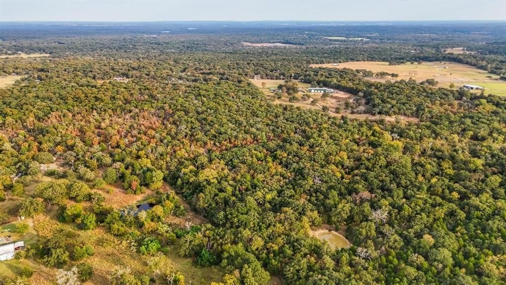 20.47 acres in Henderson County - photo 9
