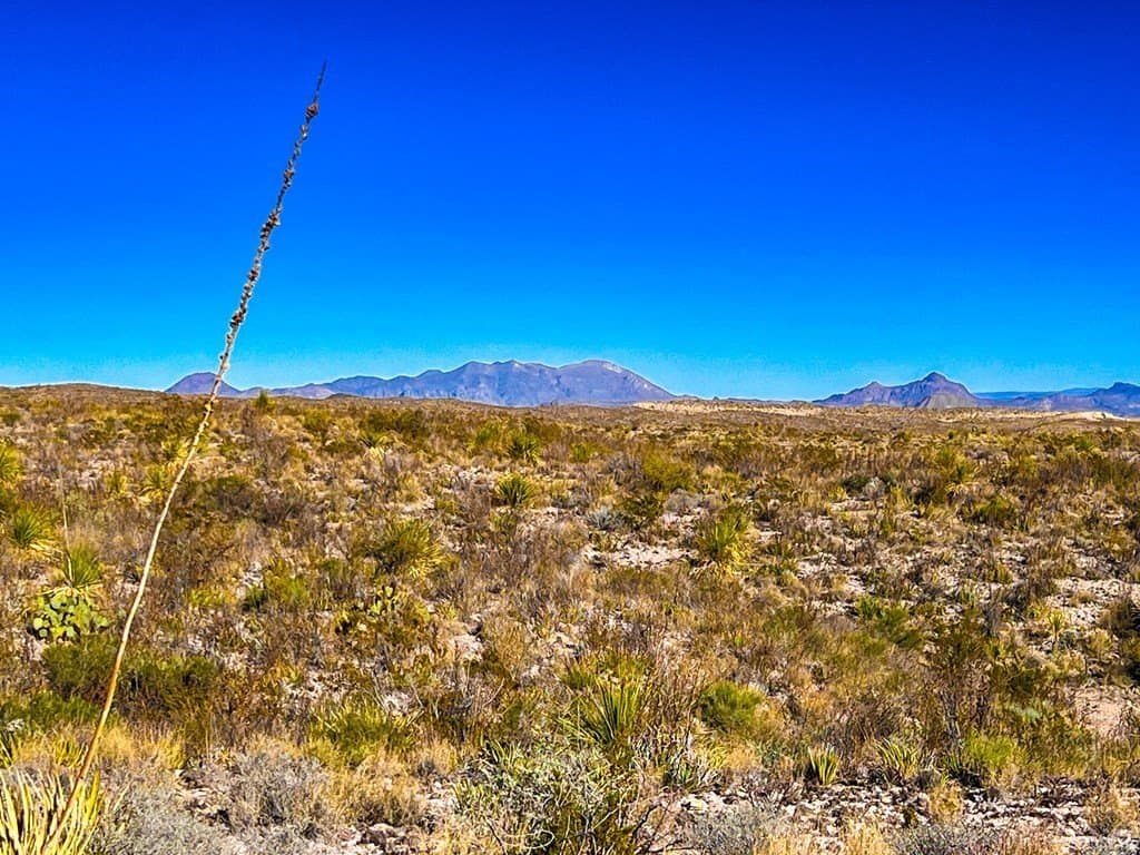 640 acres in Brewster County - photo 3