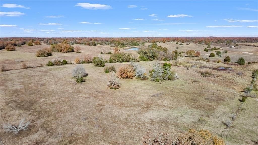 151.6 acres in Limestone County - photo 20