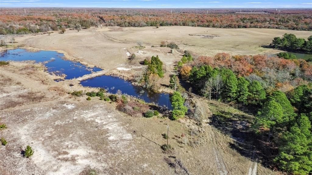 151.6 acres in Limestone County - photo 12