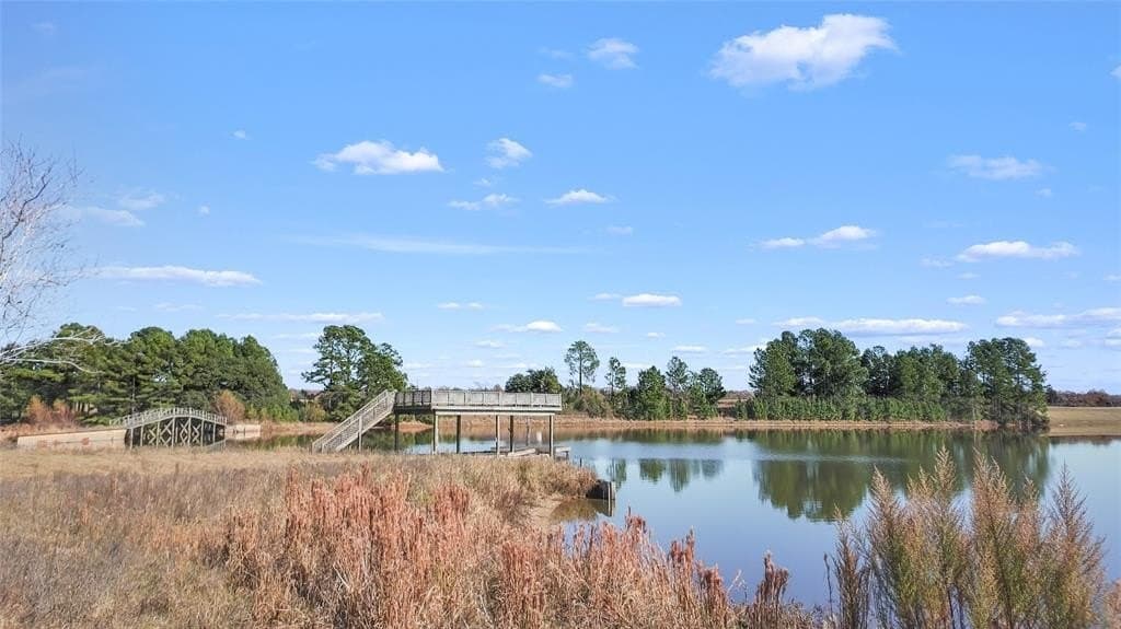 151.6 acres in Limestone County - photo 27