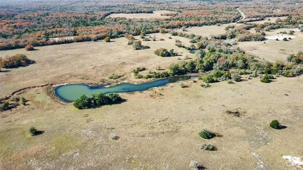 151.6 acres in Limestone County - photo 14