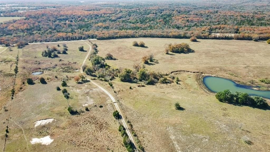 151.6 acres in Limestone County - photo 37