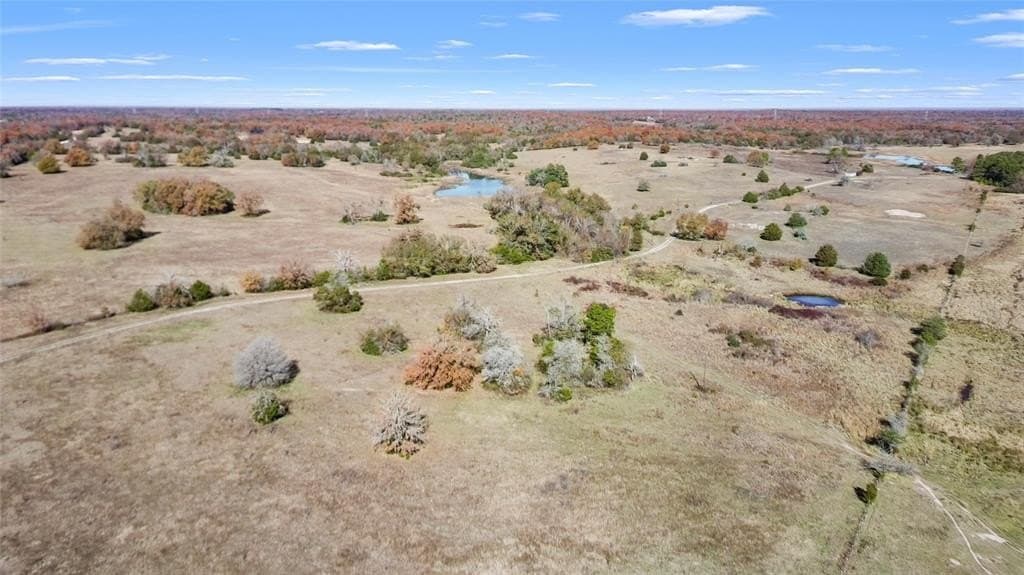 151.6 acres in Limestone County - photo 11