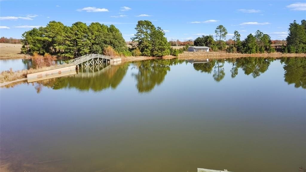 151.6 acres in Limestone County - photo 2