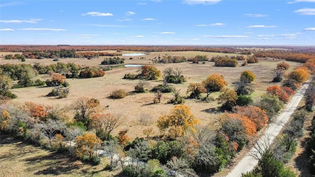 151.6 acres in Limestone County - photo 9