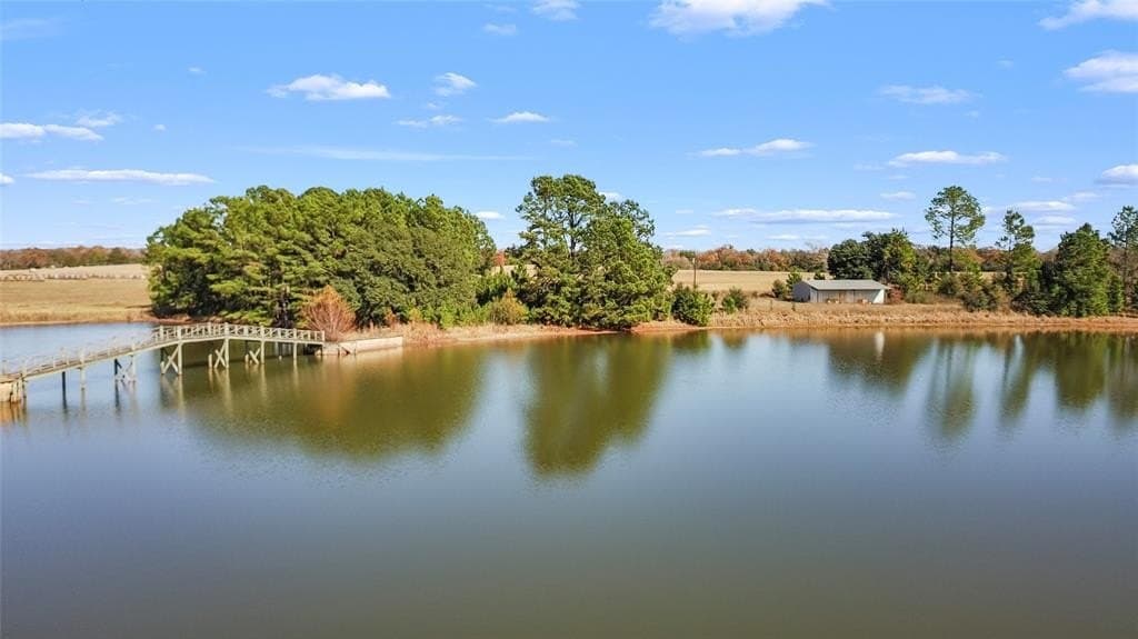 151.6 acres in Limestone County - photo 8